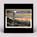 Dream Baby Dream: Dream Baby Dream [ Vinyl ]