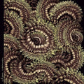Clan Caiman: Pica Pau [ Vinyl ]