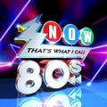 Various Artists: Now That'S What I Call The 80S / Various - CD
