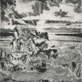 Shovel Dance Collective: The Shovel Dance [ Vinyl ]