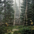Gidge: AB10: Autumn Bells 10 Year Anniversary [ Vinyl ]