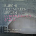 Sarah Buechi: Pink Mountain Sagas - CD
