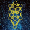 Kount Fif: Ascension [ Vinyl ]