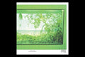 Nikolaienko: Nostalgia Por Mesozo'ica (Riso Printed Cover) [ Vinyl ]