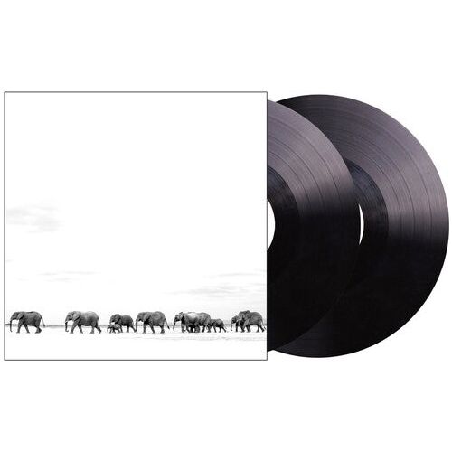 Dave Matthews Band - Where Are You Going: The Singles - LP [ Record ]