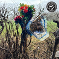 The Black Dog: Sleep Deprivation - COMPACT DISCS