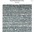 Tord Gustavsen Trio: Seeing - VINYL