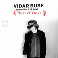 Vidar Busk: Best of Busk { CD }