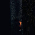 Bzdb: Jump Ship, Sit Lean, Be Still, Stand Tall [ Vinyl ]
