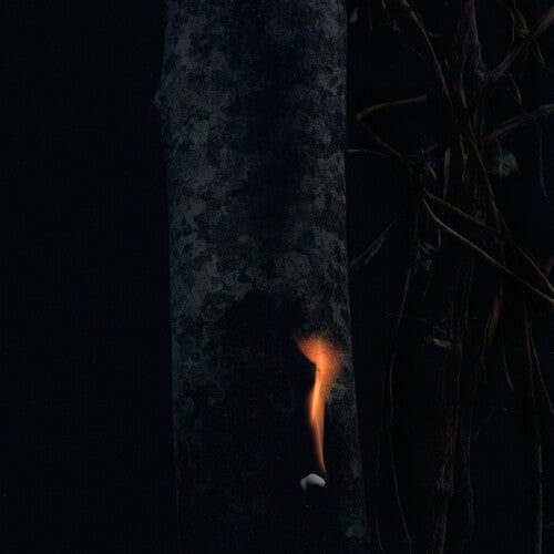 Bzdb: Jump Ship, Sit Lean, Be Still, Stand Tall [ Vinyl ]