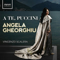 Puccini / Gheorghiu / Scalera: Te Puccini - VINYL LP