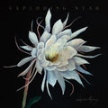 Heather Maloney: Exploding Star { CD }