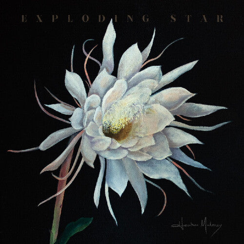 Heather Maloney: Exploding Star { CD }