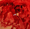 Anthony Sahyoun: Ghadr [ Vinyl ]