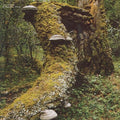 Jan Jelinek: Kosmischer Pitch [ Vinyl ]