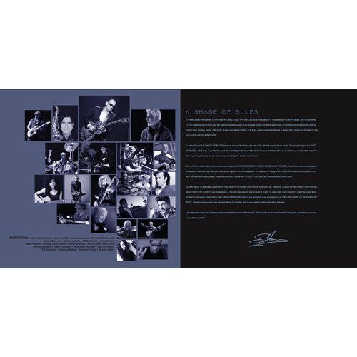 Dave Mason - A Shade of Blues - LP [ Record ]