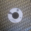 Penny & the Quarters: You and Me / Some Other Love - 7-INCH SINGLE