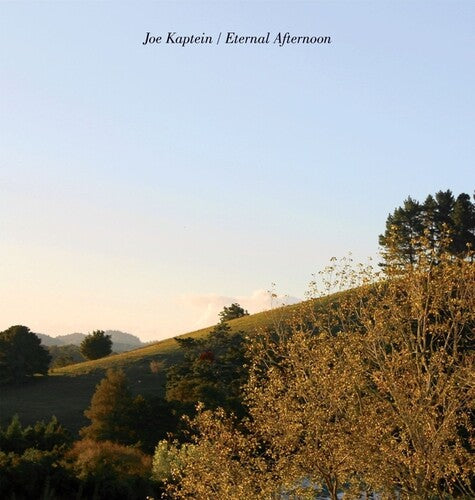 Joe Kaptein: Eternal Afternoons [ Vinyl ]
