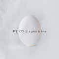 Wilco - A Ghost Is Born - LP [ Record ]
