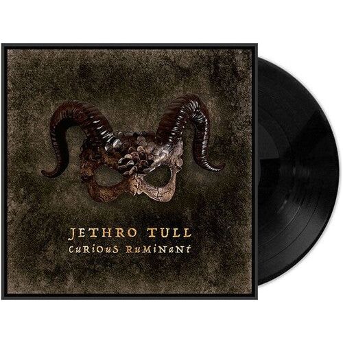 Jethro Tull - Curious Ruminant - LP [ Record ]