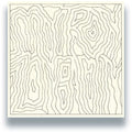 Mytron & Zongamin: Congregate [ Vinyl ]