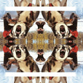 Destiino: II [ Vinyl ]