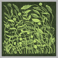Kirk Barley: Lux [ Vinyl ]