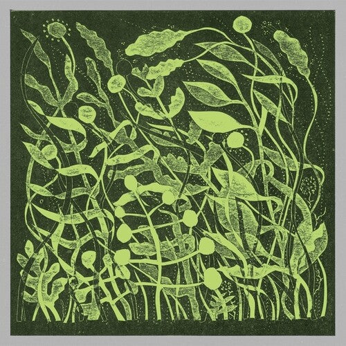 Kirk Barley: Lux [ Vinyl ]