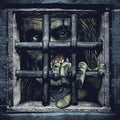 Richard Band: Castle Freak (Original Soundtrack) - VINYL