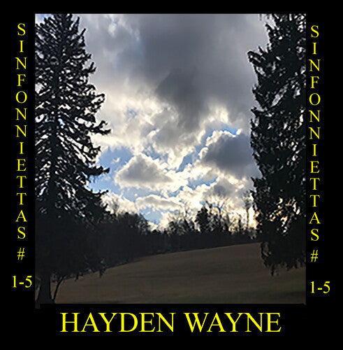 Hayden Wayne: Sinfoniettas # 1-5 { CD }