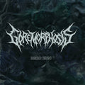 Goremorphosis: Demo 2024 - CD