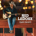 Ned Ledoux: Safe Haven - COMPACT DISCS