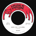 Brenda: Where Did I Go Wrong B/W Family - 7-INCH SINGLE