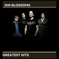 Gin Blossoms: Gin Blossoms' Greatest Hits - CD