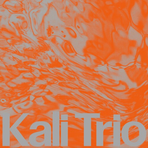 Det Norske Jentekor: The Playful Abstract - CD