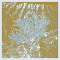 Huerco S: For Those Of You Who Have Never (And Also Those Who Have) [ Vinyl ]