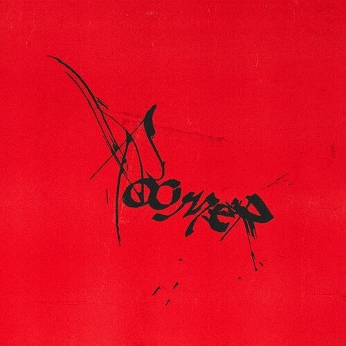 Roomer: Leaving It All To Chance [ Vinyl ]