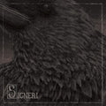 Signeri: Signeri - CD