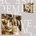 Demise of Love: Demise Of Love [ Vinyl ]