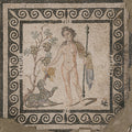 Asm: The Frenzy of Bacchus - COMPACT DISCS