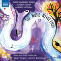 Jocelyn Somerville: The Music Never Ends { CD }
