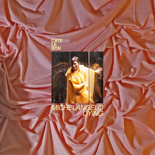 Cate Le Bon - Michelangelo Dying - Indie LP [ Record ]