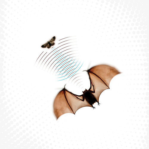 Batsauce: Echolocation - Gray [ Vinyl ]