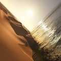 Mark Pritchard: Under The Sun [ Vinyl ]
