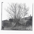 Siavash Amini: Caligo - COMPACT DISCS