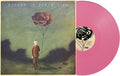Hidden in Plain View: Life In Dreaming - VINYL