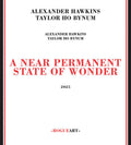 Hawkins, Alexander / Bynum, Taylor Ho: Near Permanent State Of Wonder - CD