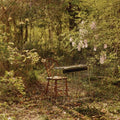 Luke Schneider: For Dancing In Quiet Light [ Vinyl ]