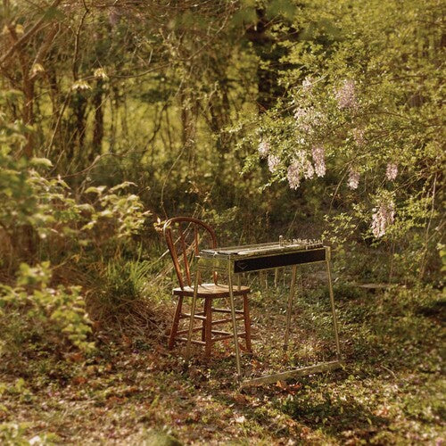 Luke Schneider: For Dancing In Quiet Light [ Vinyl ]