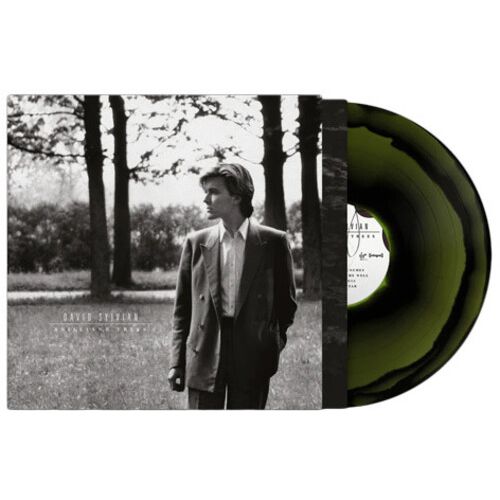 David Sylvian - Brilliant Trees - LP [ Record ]